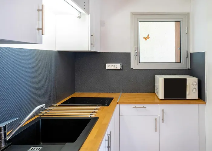 Les Mimosas - 01 Appartement